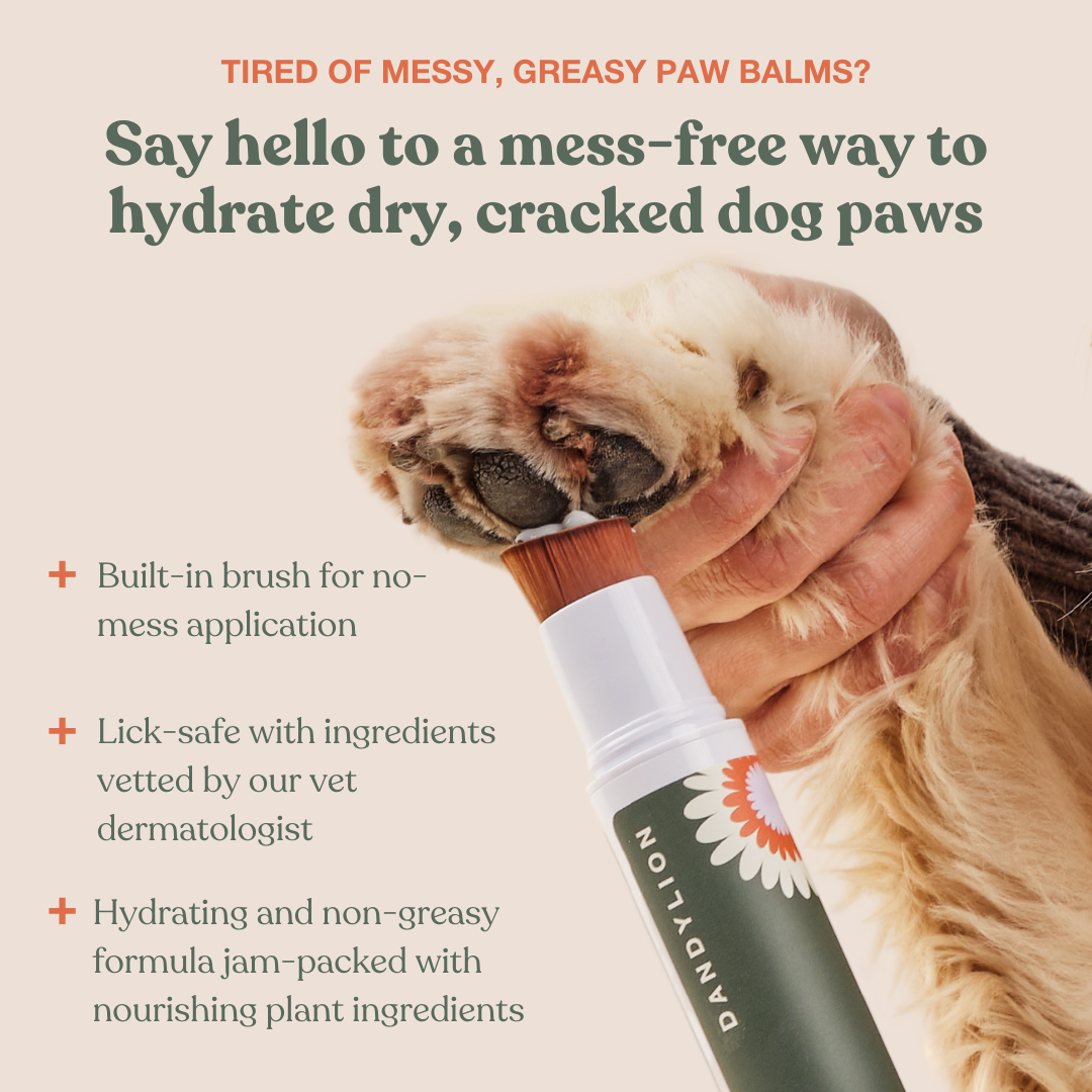 Dog paw brush best sale