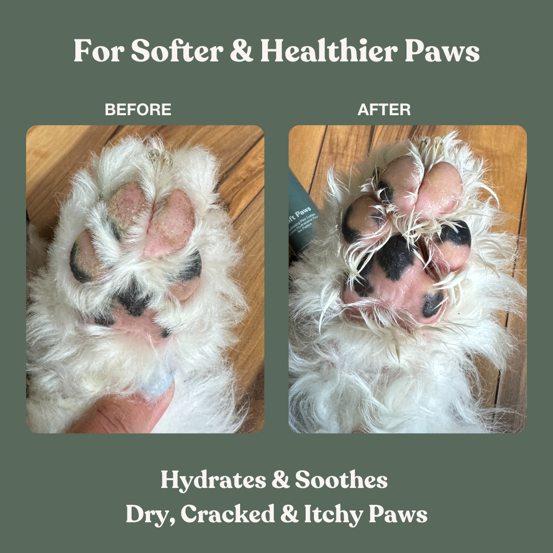 Soft Paws Hydrating Paw Lotion Dandylion