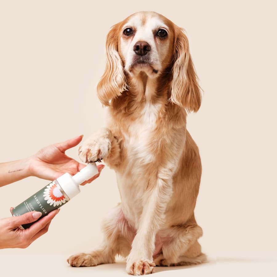 Dog paw spray best sale