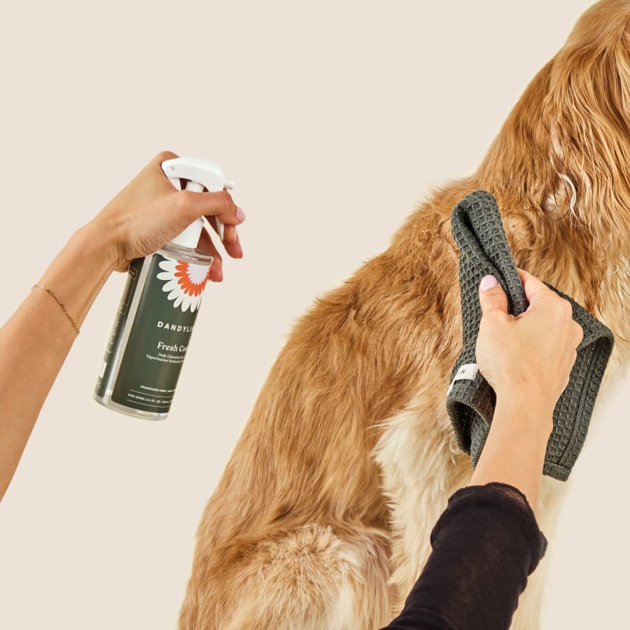 Dog conditioner spray best sale