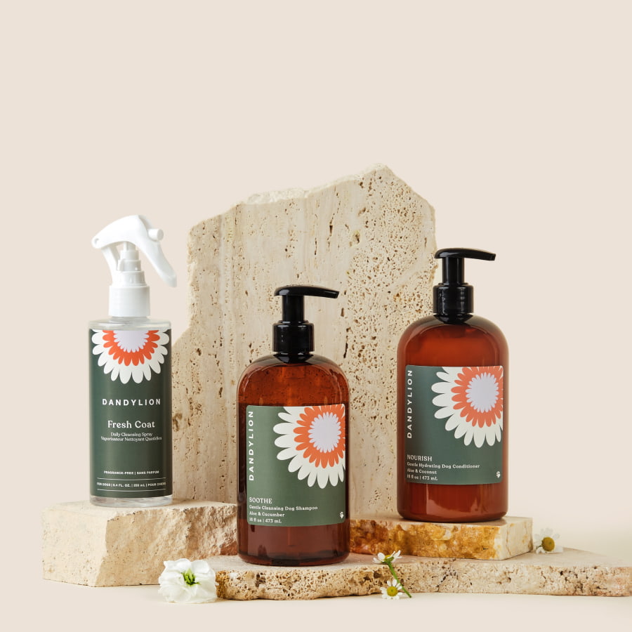 Hydrating dog shampoo best sale