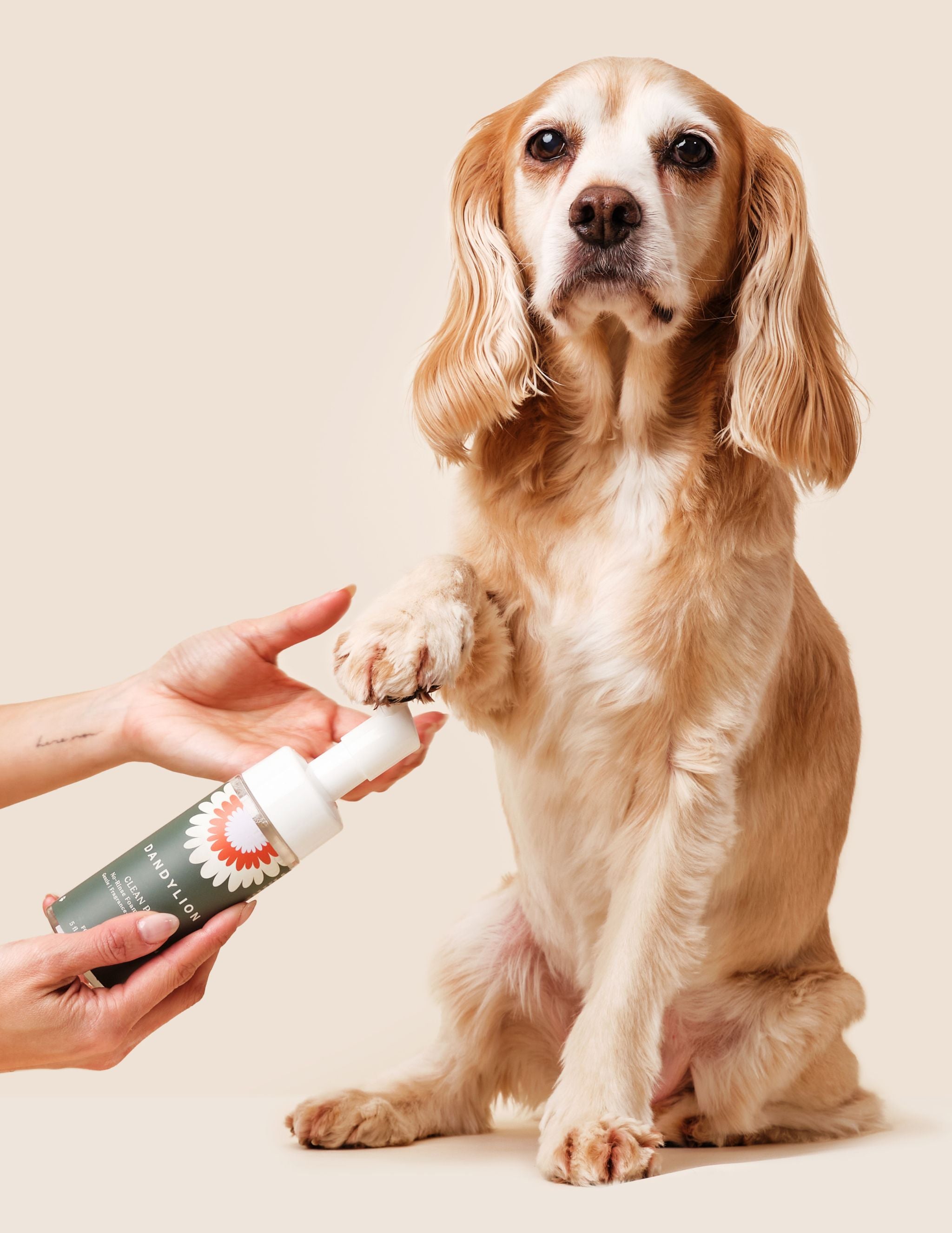 Dog Paw Cleaner  Klean Paws - Non-toxic Foaming