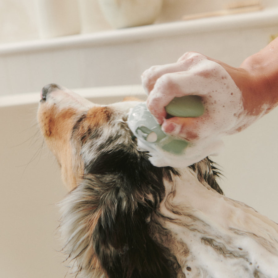 Stress-Free Bathing Set | Shampoo + Conditioner + Scrub Brush + Lick Mat