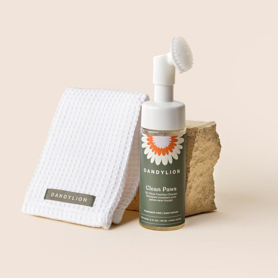 BFF Paw Essentials: Clean Paws + Paw Towel (2 sets)