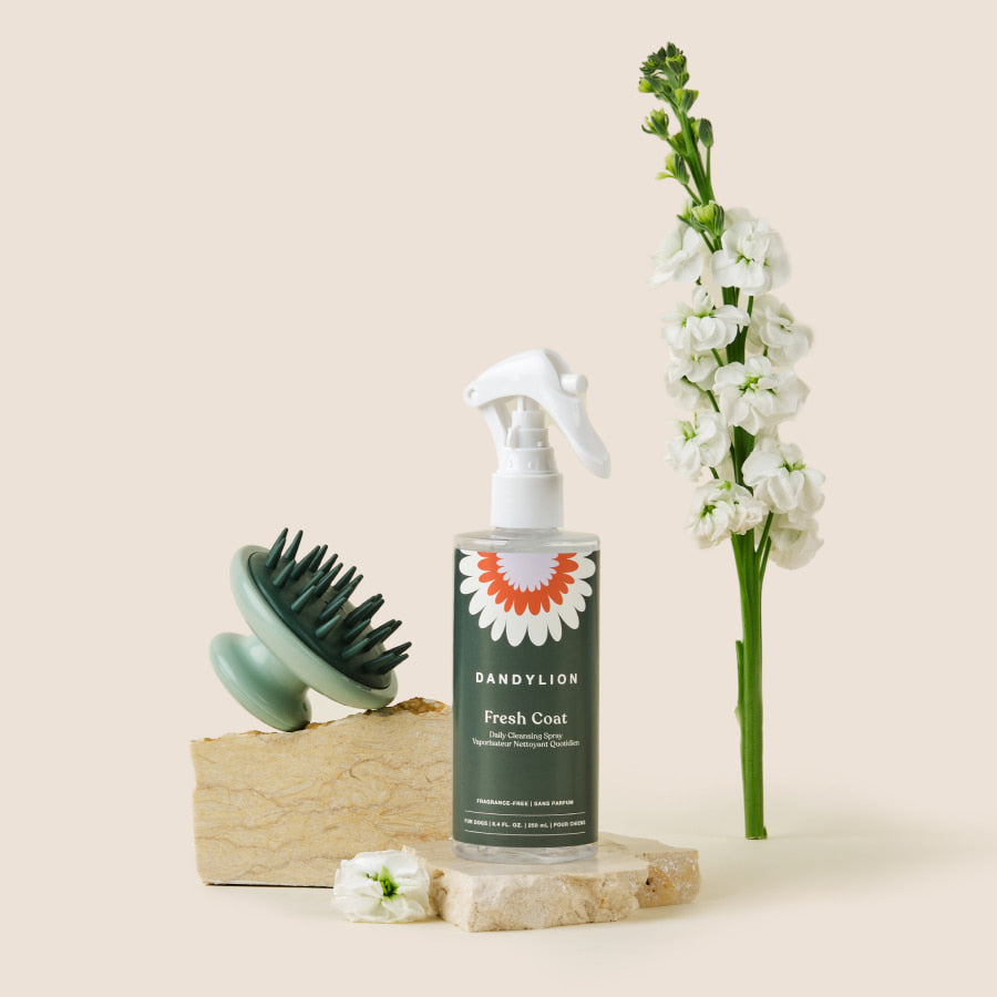 Total Refresh Kit | Coat Cleansing Spray + Scrub Brush