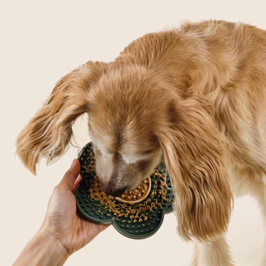 Stress-Free Bathing Set | Shampoo + Conditioner + Scrub Brush + Lick Mat