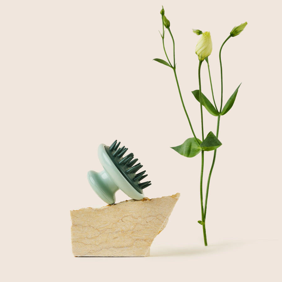 Scrub Brush | Deshed + Lather